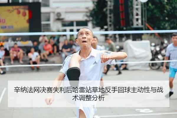 辛纳法网决赛失利后哈雷站草地反手回球主动性与战术调整分析